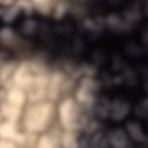 Meet your Posher, Kyah